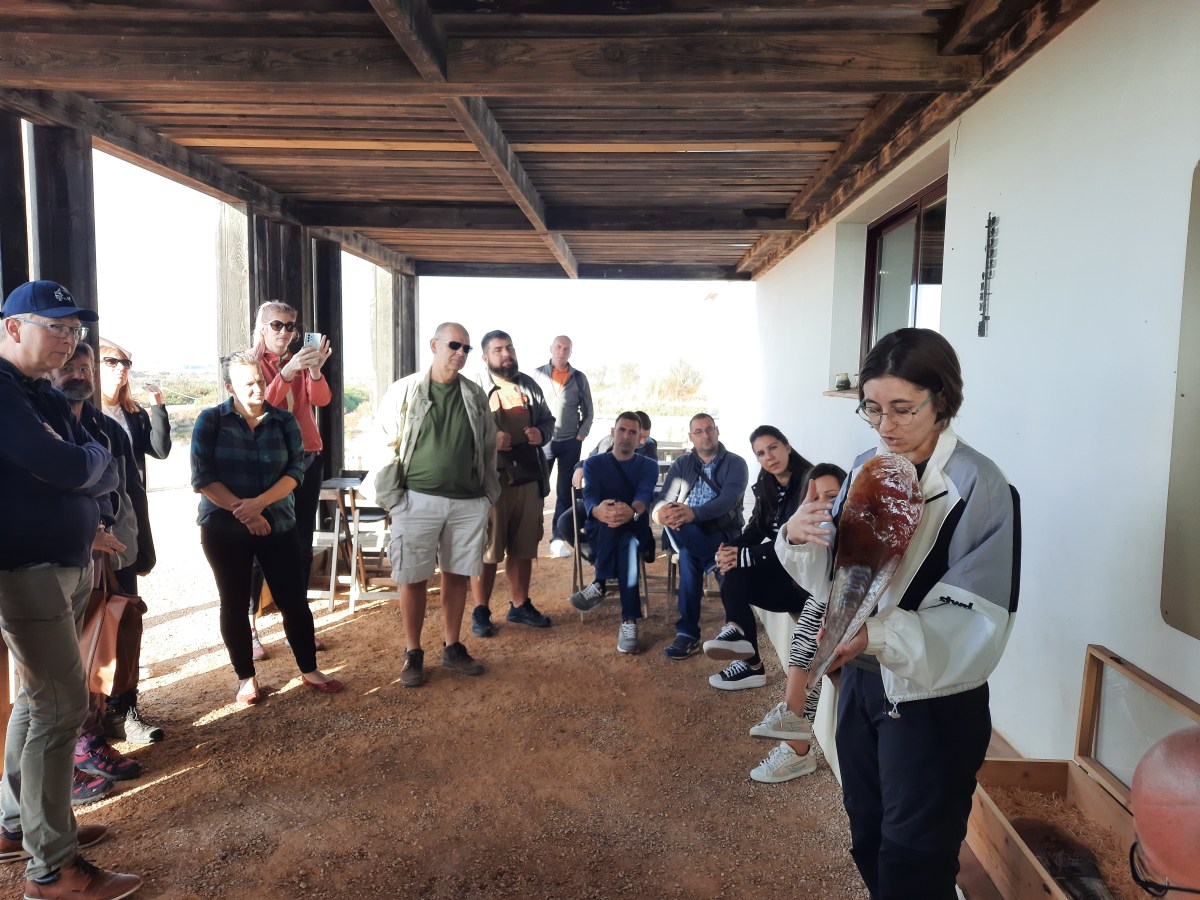 Set a new learning&nbsp;framework